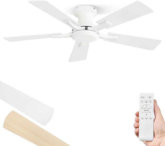 Ceiling Fans & Accessories