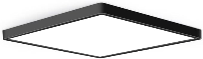 12inch 24W LED Flush Mount Ceiling Light, 5000K Square LED Ceiling Light, Black Flat Panel Lights for Bedroom, Kitchen, Living Room