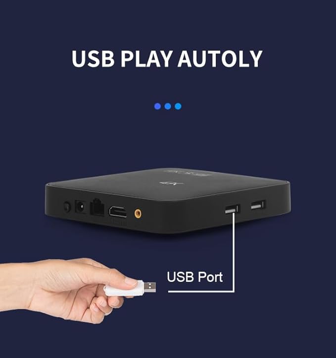 Lunzn Digital Signage Advertising Display Box Commercial AD Media Player for Restaruant Shopping Mall Marketing Business (YM05/1+8G)