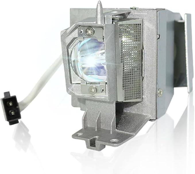 SORNEICDR Replacement Projector Lamp Bulb BL-FP195B/MC.JN811.001/SP-LAMP-091/SP-LAMP-097/SP.78H01GC01/BL-FP195A/SP.71P01GC01 Compatible with OPTOMA/ACER/INFOCUS GT1080DARBEE, DWX1521, H6517ABD, IN220