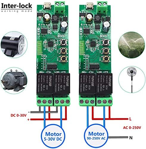 Newgoal 2-Channel WiFi Smart Switch Relay Module, TUYA/Smart Life App for Smart Home Remote Control, Momentary Time Adjustable, Compatible with Alexa/Google Assistant