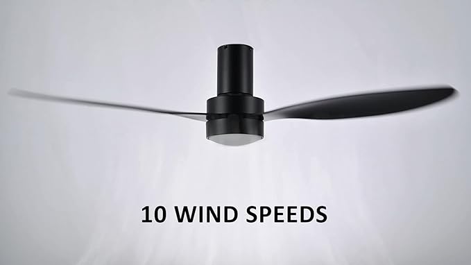 SMAAIR 52" Smart Flush Mount Ceiling Fans with Lights and Remote, Quiet DC Motor, 3-Blade Modern Ceiling Fan, Low Profile Ceiling Fan works with APP/Voice, 8H Timer &24H Schedule, ABS Blades, Black
