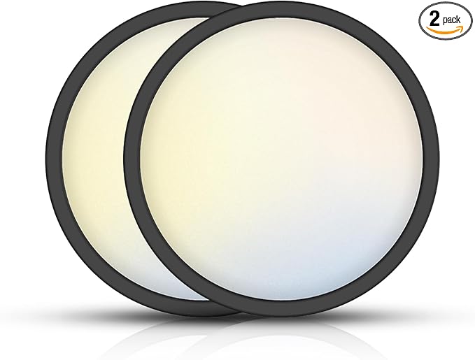 TOPELER Black 12" Slim Surface LED Ceiling Light, 28W 2400Lm, 5CCT Selectable Flushmount Round Flat Panel Lights for Bedroom, Porch, Hallway, Stairwells, ETL & FCC Listed, 2Pack