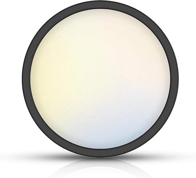 TOPELER Black LED Flush Mount Ceiling Light, 12inch Dimmable Round Ceiling Light, 28W 2400Lm, 5CCT Selectable Low Profile Slim Flat Panel Lights for Kitchen, Bedroom, Laundry, ETL & FCC Listed