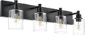 TODOLUZ 4-Lights Bathroom Vanity Light Fixtures, Black Modern Wall Lighting Over Mirror with Clear Glass Shade (E26 Bulb Base)