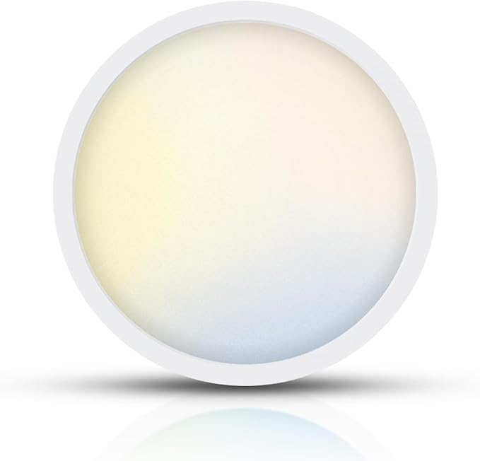 TOPELER 9inch Flush Mount Ceiling Light, Dimmable Ultra-Thin LED Ceiling Light 24W 2000Lm, 5CCT Selectable (2700K-6000K) Super Bright Lighting Fixture for Kitchen, Porch, Hallway, Stairwells