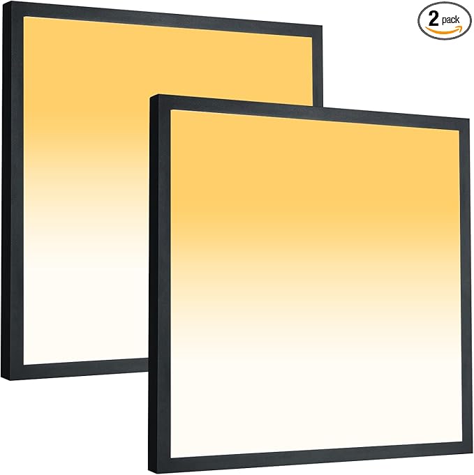Mcacggo 2x2 FT LED Flush Mount Panel Light 5000K 4000K 3000K Selectable & Dimmable, Black Square Surface Mount led Ceiling Light, 40W, 4400LM, 100-277V, ETL Listed, 2 Pack