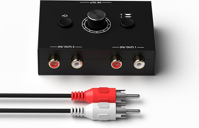 Dingsun Bi-Directional 2-Way RCA Stereo Audio Switch Audio Signal Source Switcher Selector Splitter Box for DVD/Blu-ray Players etc. (2 Input-1 Output /1 Input-2 Output)