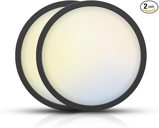 TOPELER Black Slim LED Surface Mount Ceiling Light, 9inch Dimmable Round Flat Panel Lights, 24W 2000Lm, 5CCT Selectable Low Profile Ceiling Light Fixtures for Hallway, Kitchen, Porch, 2 Pack