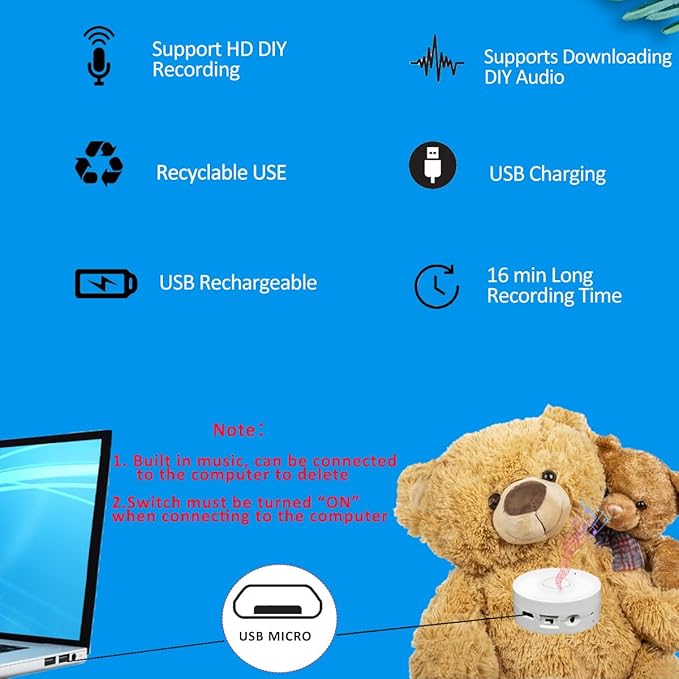 JRGKJCP 16 Minutes Voice Recorder, Record Custom Message for Crafts, Stuffed Bear, Baby Doll, and Pillow (2Pack + White)