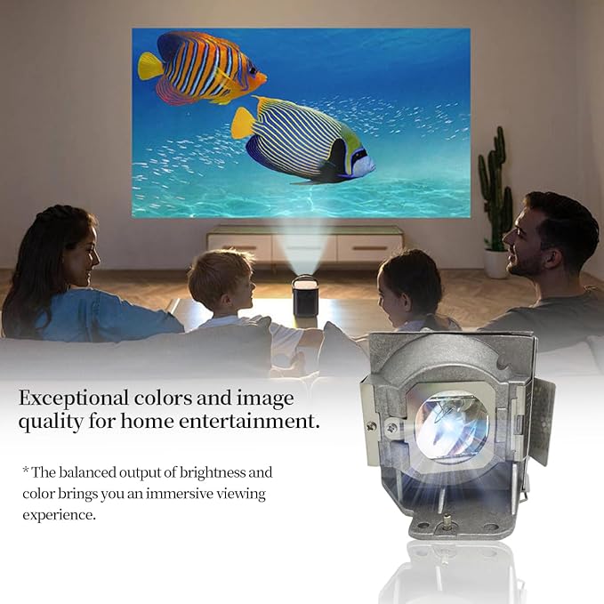 SORNEICDR 5J.J7L05.001/5J.J9H05.001/5J.JAH05.001/MC.JKY11.001/5J.JCL05.001 Projector Lamp Bulb Compatible with Benq W1070 W1070+ HT1075 W1080ST W1080ST+ MH630 MH680 HT1085ST W1070+W W108ST Projectors