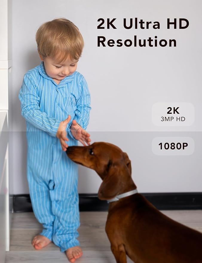 FAMVIVA 2K Security Camera, Outdoor/Indoor for Home, Pet, Baby, Nanny, IP65 Waterproof Color Night Vision, White Light & Siren, Recording, Motion Detection, Compatible with Alexa,Black-2P