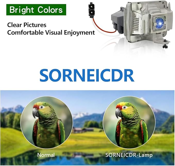 SORNEICDR SPLAMP019 Replacement Projector Lamp Bulb Compatible with SP-LAMP-019 INFOCUS LP600 IN32 IN34 IN34EP W340 W360 Projectors, with Housing