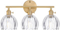 Shenmoyl Bathroom Light Fixtures, 3-Light Brass Vanity Wall Light Over Mirror with Clear Tulip Glass Shade for Bedroom Living Room (Bulb Not Included)