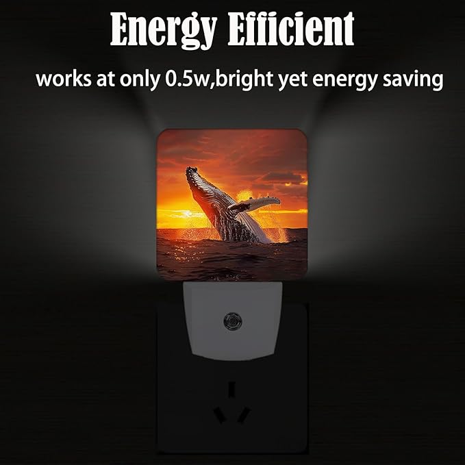 FSHVQKD Sunset Humpback Whale Night Light,Plug Into Wall for Boys Girls Bedroom Decorative Square Night Light Lamp 0.5w Sleep Friendly
