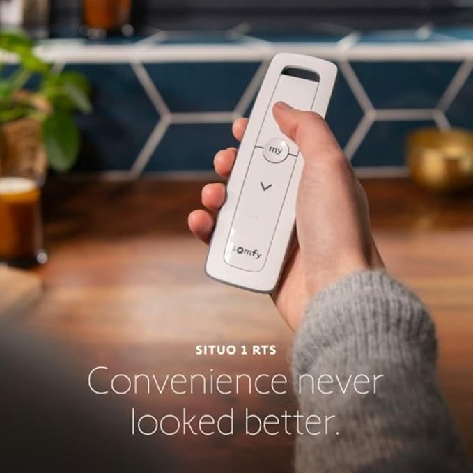 Somfy Situo 1800128 RTS The New Telis 1 Remote Control - Replacing 1810633 Home Automation Blinds and Shades System Kits