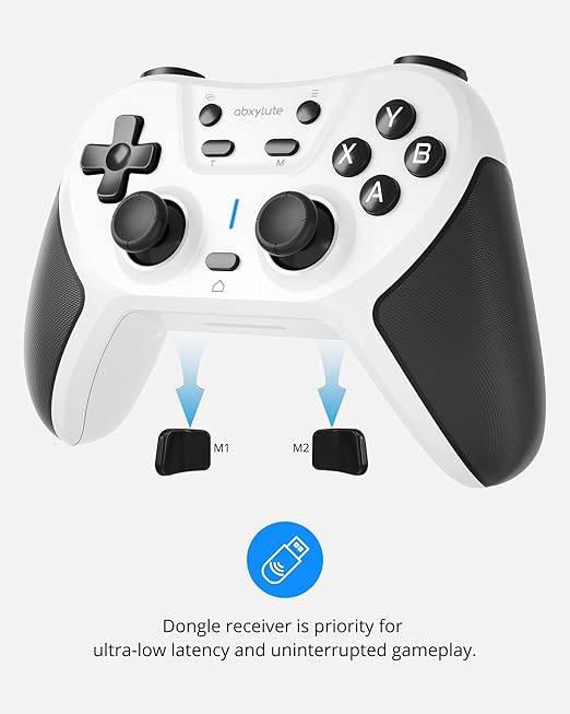 abxylute C5P Wireless Gaming Controller for PC/Switch/iOS/Android/PS3/PS4/Steam/MAC, 2.4 GHz Hall Effect Stick & Trigger Turbo-Remappable Back Buttons Rubberized Grip Console Layout Gamepad Vibration
