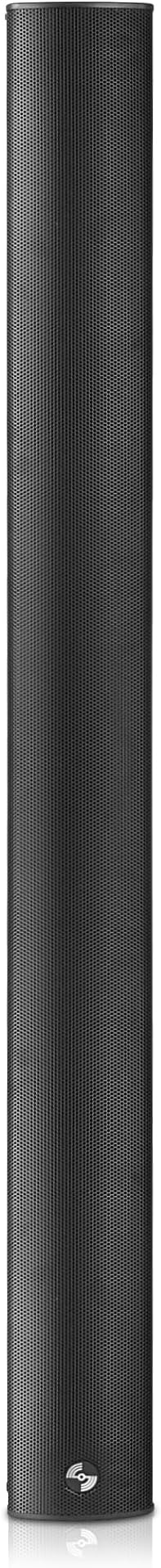 Sound Town Weatherproof Compact Aluminum Line Array Column Speaker with Wall Mount Bracket, 10 x 3 Woofers, 6 x 1.2 Dome Tweeters, Black, for Church, Indoor & Outdoor Installation (CARPO-M106B)