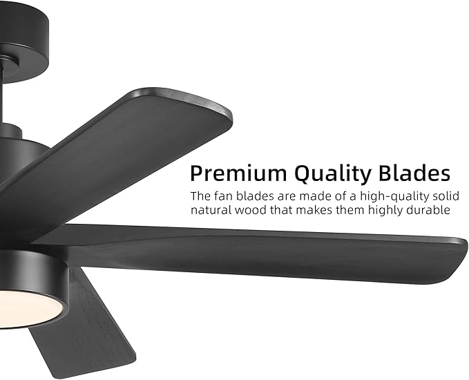 WINGBO 48 Inch DC Ceiling Fan with Lights and Remote Control, 5 Carved Solid Wood Blades, 6-Speed Noiseless Reversible DC Motor, Indoor Ceiling Fan in Matte Black Finish with Black Blades