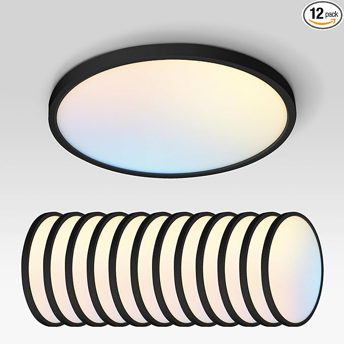 ASD LED 12" Round Flush Mount Ceiling Light Fixture, Low Profile Surface Lighting | 5CCT, Dimmable, Ultra-Thin, ETL Listed | 24W 1900LM 2700-6000K 120V | Kitchen, Hallway Lamp | Black, 12 Pack