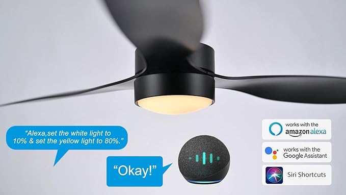 SMAAIR 52" Smart Flush Mount Ceiling Fans with Lights and Remote, Quiet DC Motor, 3-Blade Modern Ceiling Fan, Low Profile Ceiling Fan works with APP/Voice, 8H Timer &24H Schedule, ABS Blades, Black