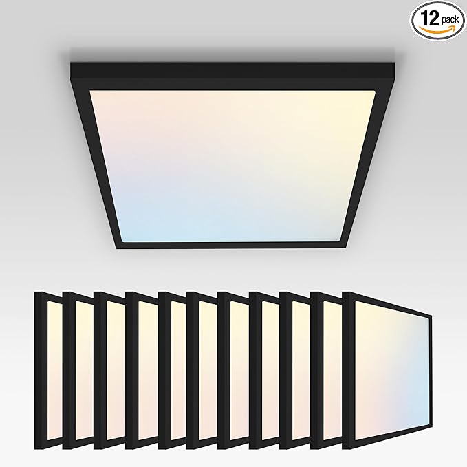 ASD LED 12" Square Flush Mount Ceiling Light Fixture, Low Profile Surface Lighting | 5CCT, Dimmable, Ultra-Thin, ETL Listed | 24W 1700LM 2700-6000K 120V | Kitchen, Bedroom Lamp | Black, 12 Pack