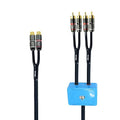 10ft Sound Channel swicher 2 Female to 4 Male RCA Switch Selector 2 in 1 Out R/L Stereo Audio 1 in 2 Out Stereo Audio Splitter with Mute Button No External Power Required CD Speaker DVD Player