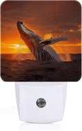 FSHVQKD Sunset Humpback Whale Night Light,Plug Into Wall for Boys Girls Bedroom Decorative Square Night Light Lamp 0.5w Sleep Friendly