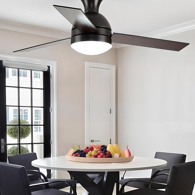 HAOLEDI 4'' 20W LED Ceiling Fan Light Retrofit Kit, Ceiling Light Replacement, LED Flush Mount Ceiling Light, Warm White 3000K 2400LM, 120V, ETL Listed CRI90 (Warm White 3000K)