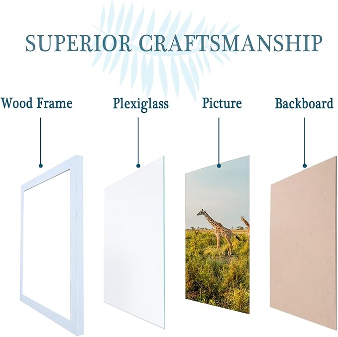 TKYGU 12x12 Picture Frame Set of 3, white Wooden Frame 12by12 Square Wall Gallery Poster Photo frame with Durable Shatter Resistant Plexiglass for Wall Hanging best gift