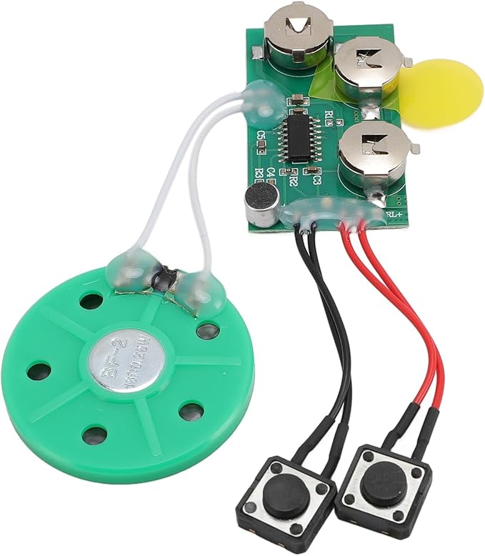 FOSA 120 Seconds Sound Recorder Module, Recordable Voice Module with Speaker, Recording Music Voice Player Sound Module Chip for Greeting Card