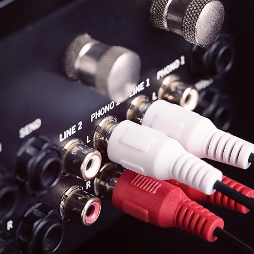 Sjorks RCA Cable 100ft,2RCA Male to 2RCA Male,Audio Stereo Subwoofer Cable [Hi-Fi Sound] Auxiliary Audio Cord for Home Theater, HDTV, Amplifiers, Hi-Fi Systems,Speakers and etc