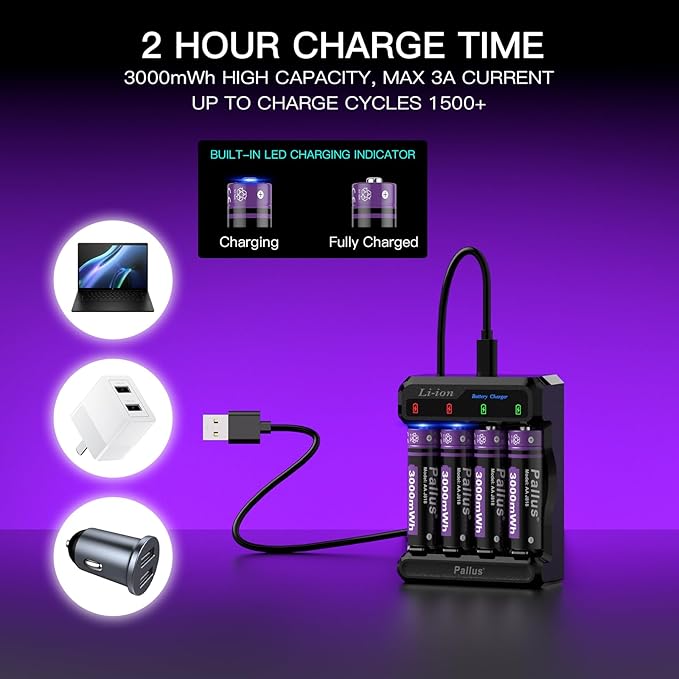 Pallus Lithium Rechargeable AA Batteries with Fast Charger - 12 Pack Long Lasting Double A Battery, Standard Size AA Batteries, High Capacity AA Rechargeable Batteries for Blink Camera, Cycles 1600x