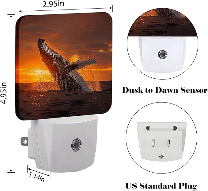 FSHVQKD Sunset Humpback Whale Night Light,Plug Into Wall for Boys Girls Bedroom Decorative Square Night Light Lamp 0.5w Sleep Friendly