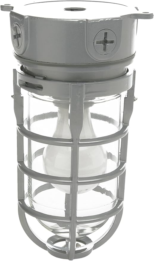 Woods L1706 Vandal Resistant Security Light With Ceiling Mount (150W Incandescent Bulb; Silver)