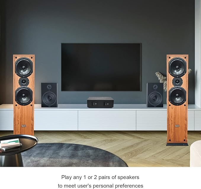 SENWIKATIN 2-Way Speaker Selector, Passive 2 Zone Distribution Box 150W / Channel with Impedance Protection, Spring Clip Connectors
