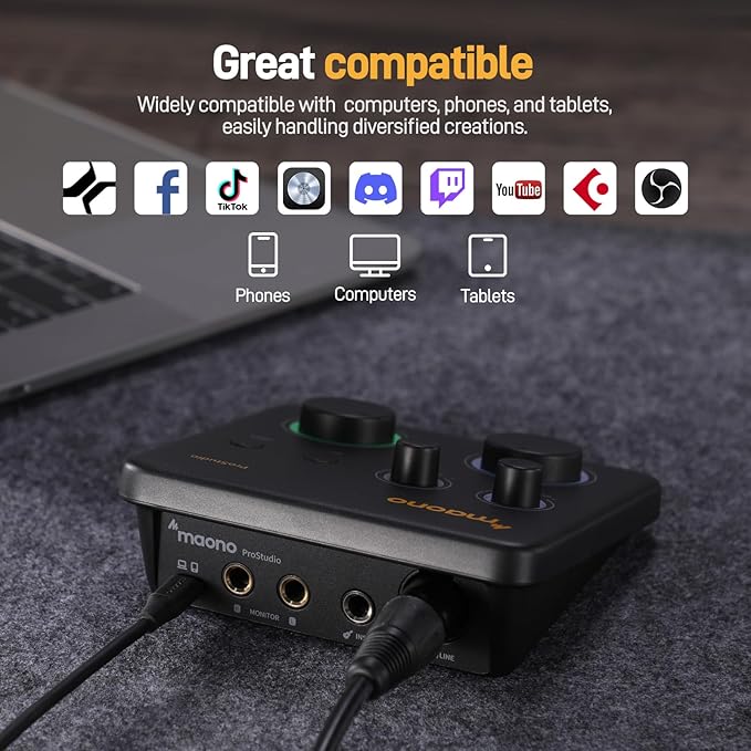 MAONO USB Audio Interface for PC: Interface with XLR Input 24-bit/192kHz Routing Software LOOPBACK ASIO Driver for Recording Music, Home-Studio, Guitar, Podcast, Streaming, DAW(PS22 Lite Black)