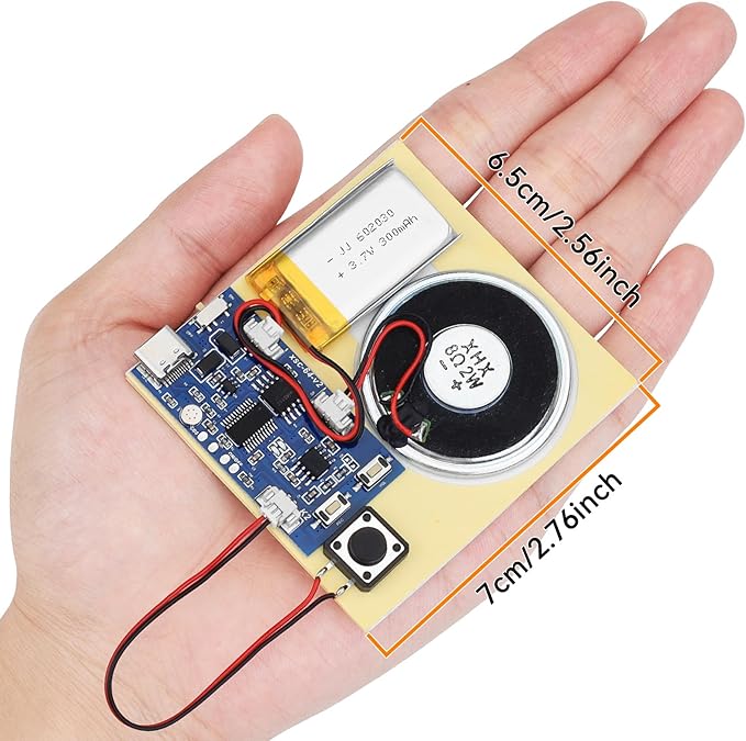 Sound Recorder Module DIY Music Voice Recording Module Chip with Speaker,Type-C Cable,Easy Recording Capability16 Minutes Music for Personalized Greetings, Holiday Crafts Cards with Manual
