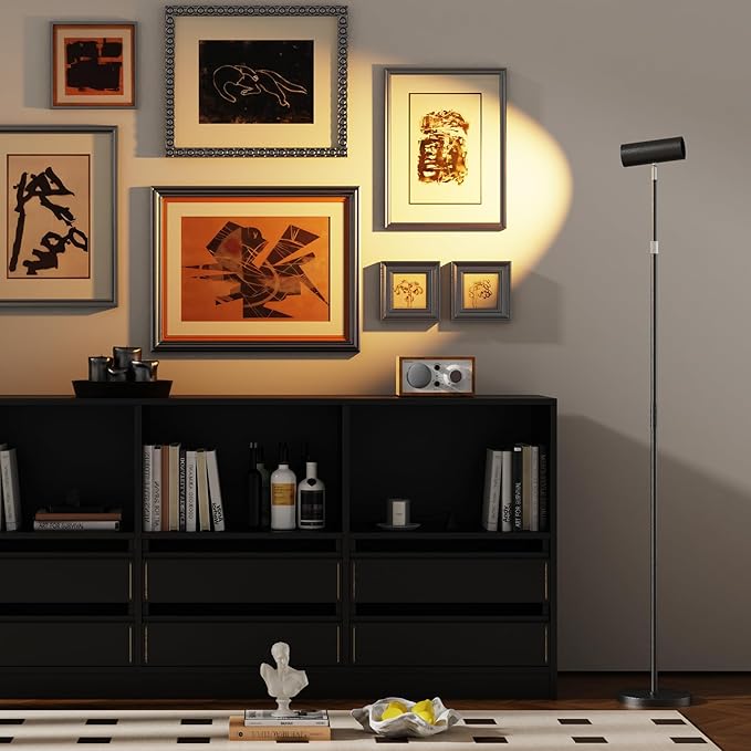 SIBRILLE Spotlight Floor Lamp, Tall LED Standing Lamp with Remote/Touch Control, 2700K-6500K, 350°Rotating Head Standing Lamp, Reading Floor Lamp for Living Room, Bedroom, Office & Wall Art, Black RGB