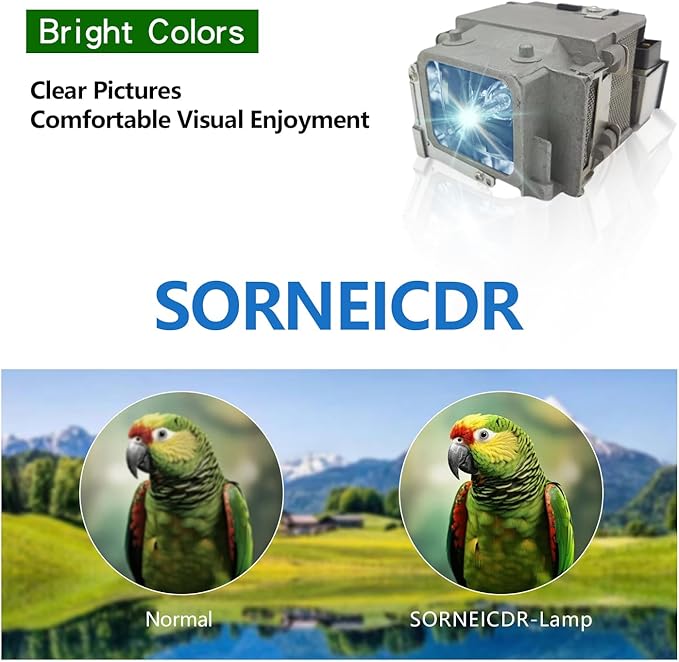 SORNEICDR ELP LP65 Replacement Projector Lamp Bulb Compatible With Epson EB-1760W 1761W 1751 1771W PowerLite 1776W 1761W 1771W 1750 1775W