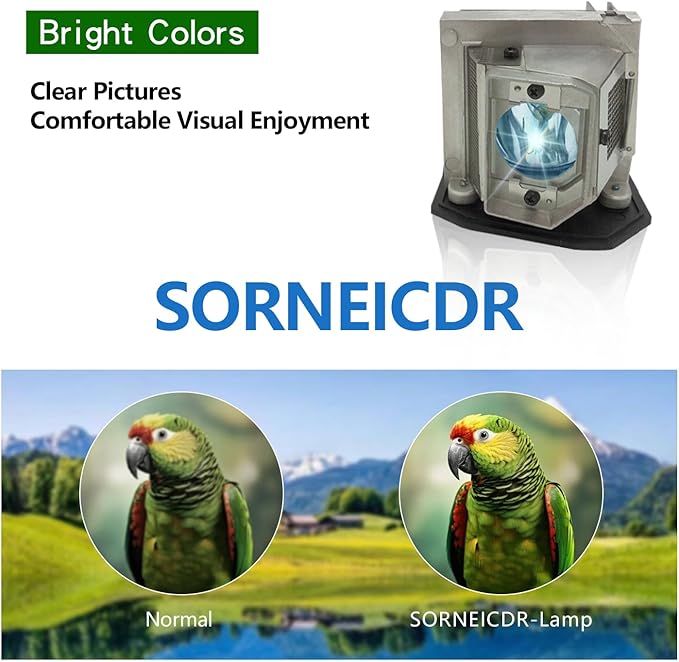 SORNEICDR BL-FU240A/SP.8RU01GC01/BL-FU190E/SP.8VC01GC01 Replacement Projector Lamp Bulb Compatible with Optoma DH1011 EH300 HD25-LV HD131X HD2500 HD30 HD30B HD25 HD131Xe HD131XW VDHDNUE Projectors