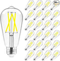 Hizashi Vintage LED Light Bulb Dimmable, 6W Equivalent 60W, 5000k Daylight, E26 Base Led Edison Bulbs, 700LM, High CRI 95+ Eye Protection, Clear Glass, Pack of 24