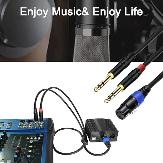 Jozzai 6.35mm Dual TRS to XLR Female Cable for Microphone, Mixer, Amplifier, 3.3 FT, Dual1/4 TRS Male to XLR Audio Cable, Y Splitter Patch Cord, 3-PinXLR to Dual 1/4 Converter Adapter Cable