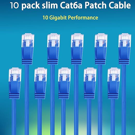 Rapink Patch Cables Cat6a 20ft (10 Pack) Slim, Cat6a Ethernet Patch Cable 10G Support, Snagless Cat 6 Patch Cable for Patch Panel to Switch, Flexiable Cat 6a Ethernet Cable with Gold Plated