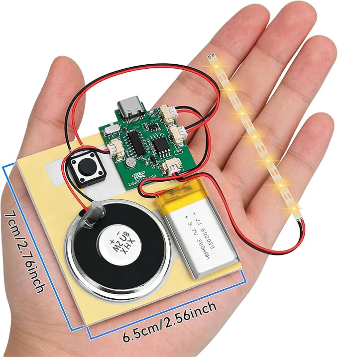 1PCS Customize Recording Module with LED Strip DIY Music Voice Recording Module Chip with Speaker,Type-C Cable,Capability16 Minutes Music for Personalized Greetings, Holiday Crafts Cards with Manual