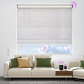 Astomi Motorized Blinds with Remote - Blackout Smart Roller Shades Compatible with Alexa & Goggle Home, Solar Rechargeable, Custom Size 22" - 100" for Indoor Window, Silver Grey