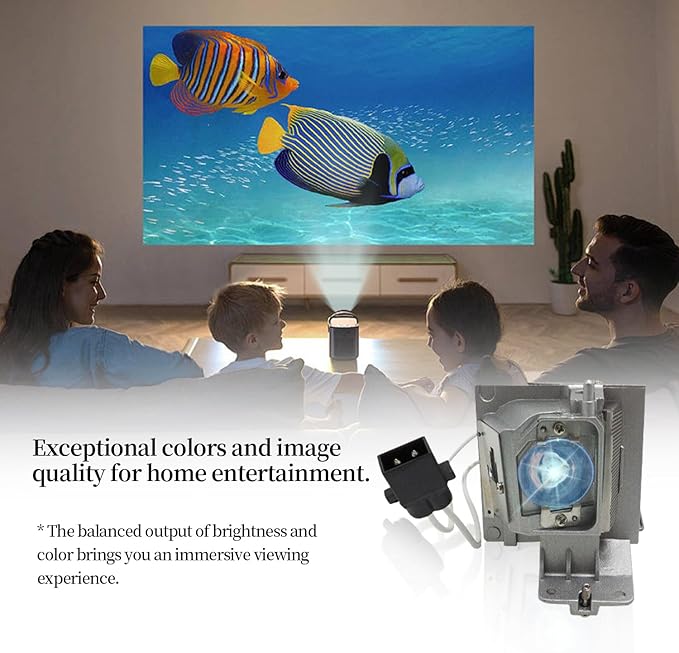 SORNEICDR BL-FU195A/BL-FU195C/SP.72G01GC01 Replacement Projector Lamp Bulb Compatible with OPTOMA HD142X HD27 EH345 H183X S341 S340 W331 TW342 Projectors, with Housing