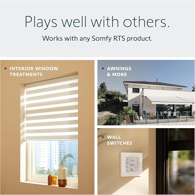 Somfy Telis 1 RTS Patio Remote - Single Channel - Handheld Addition or Replacement - Great for Outdoor Blinds & Shades - Customizable My Function - Stylish Blue and Gray Finish #1810643