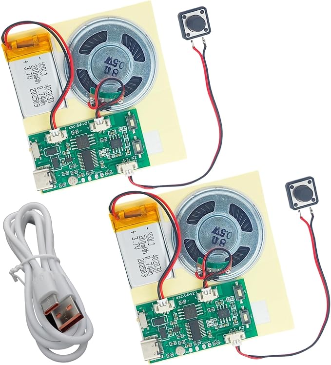 2pcs DIY Audio Recorder and Player kit,Record standalone or Download Music via USB Type-C,Compact Size, Includes PCB, Speaker, Battery, Buttons, for Personalized Greeting Cards, Music Boxes, and More