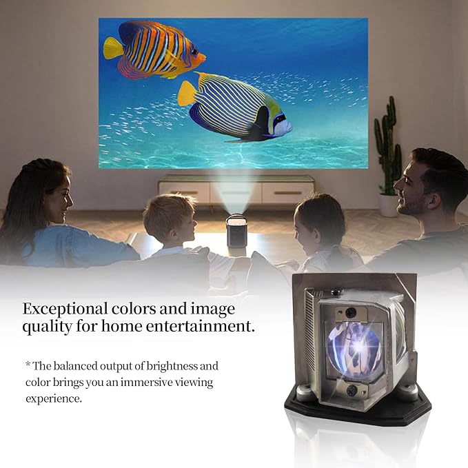 SORNEICDR BL-FP230D/BL-FP230J/BL-FP230H/SP.8EG01G.C01 Replacement Projector Lamp Bulb Compatible with Optoma HD20 HD23 HD230X HD180 HD2200 TX612 GT750 TH1020 EH1020 HD200X HD21